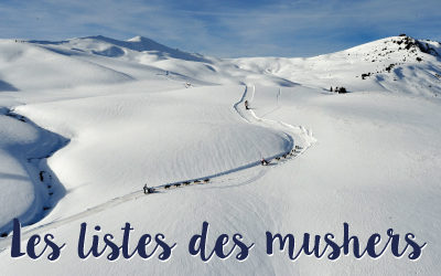 Les mushers de La Grande Odyssée Savoie Mont Blanc 2021