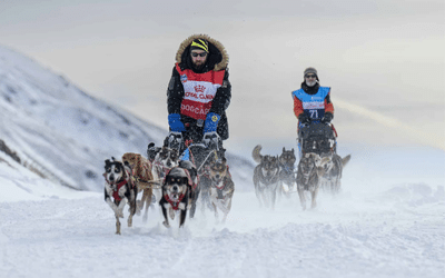 Royal Canin, au cœur de la course La Grande Odyssée VVF 2025