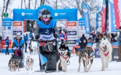 Mushers en herbe pour l’Odyssée des enfants avec Crédit Mutuel.