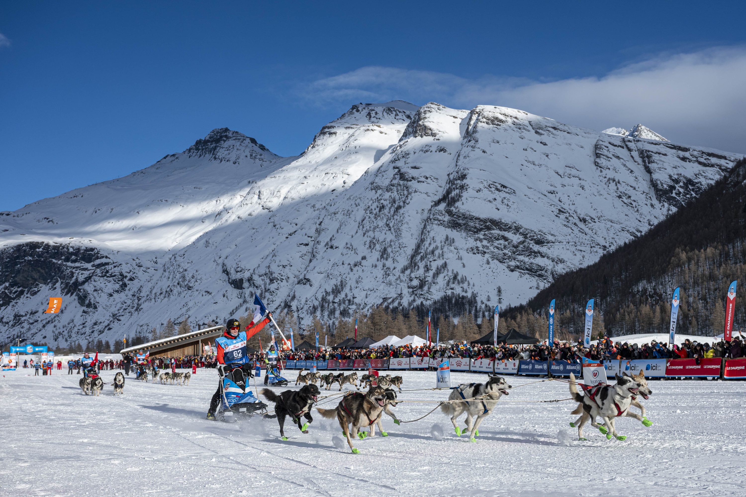 musher avec son attelage