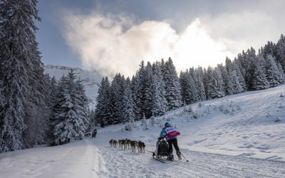 Onze nouveaux concurrents sur Le Trophée Allianz