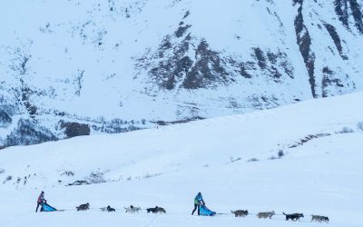 L’étape Valmorel – Doucy très appréciée par tous les mushers