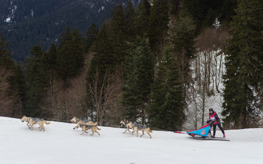 Un trail forestier au Col de Porte