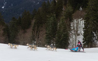 Un trail forestier au Col de Porte