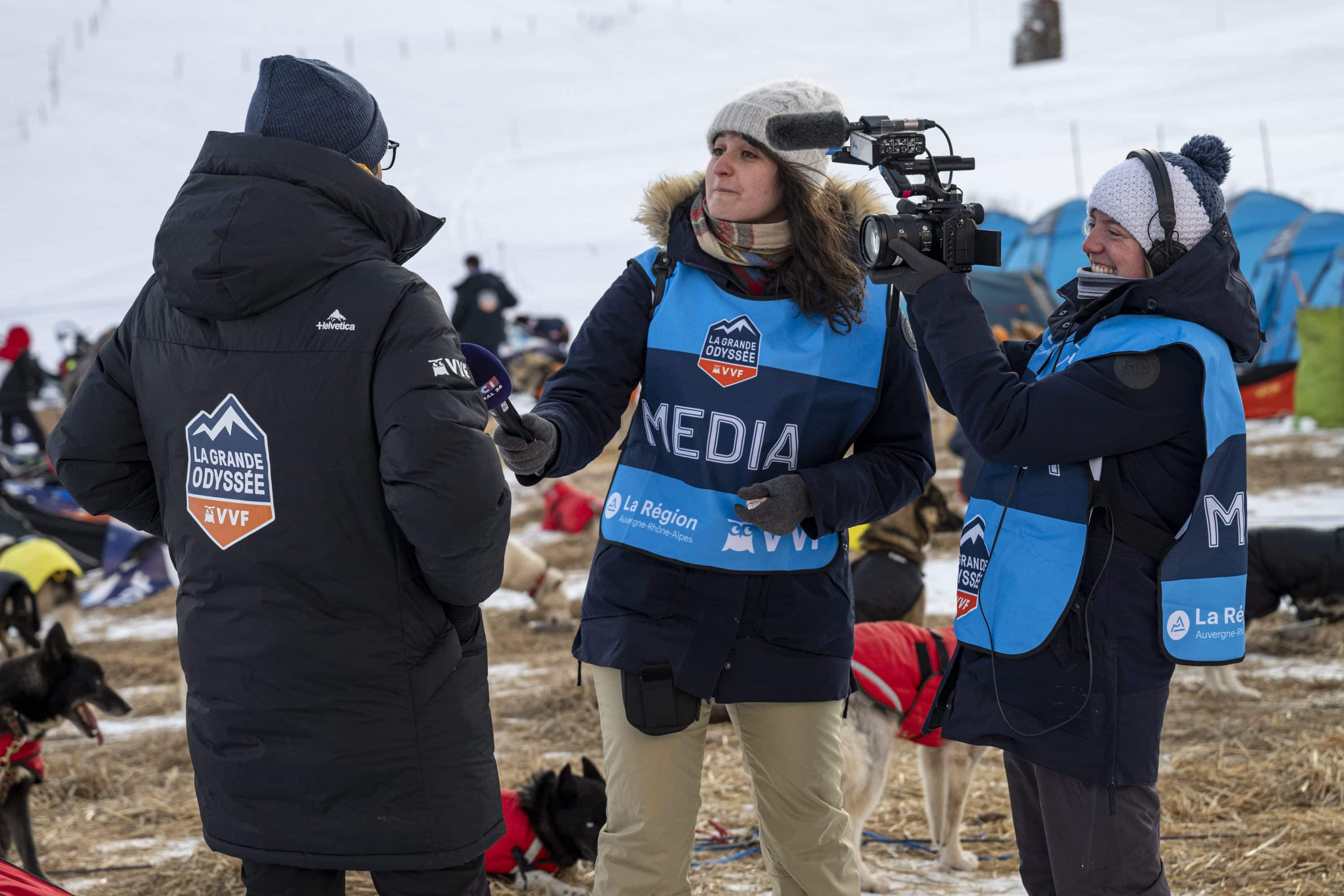 musher avec son attelage