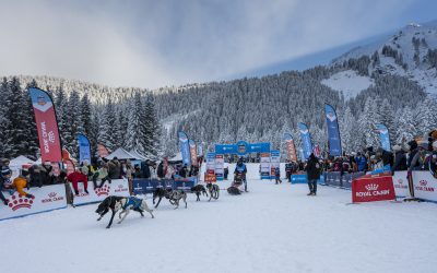 Une aventure inoubliable pour les 20 ans de La Grande Odyssée VVF avec Royal Canin