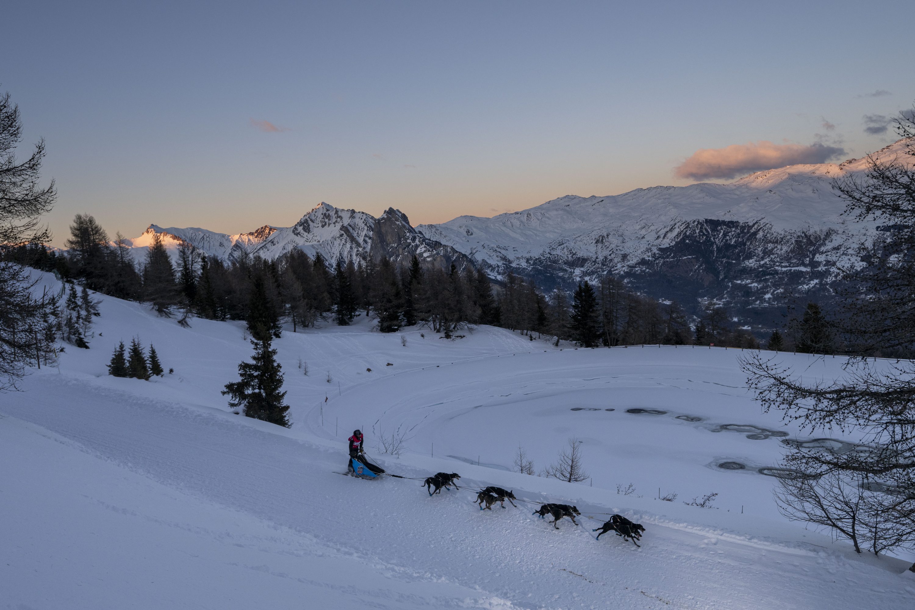 musher avec son attelage